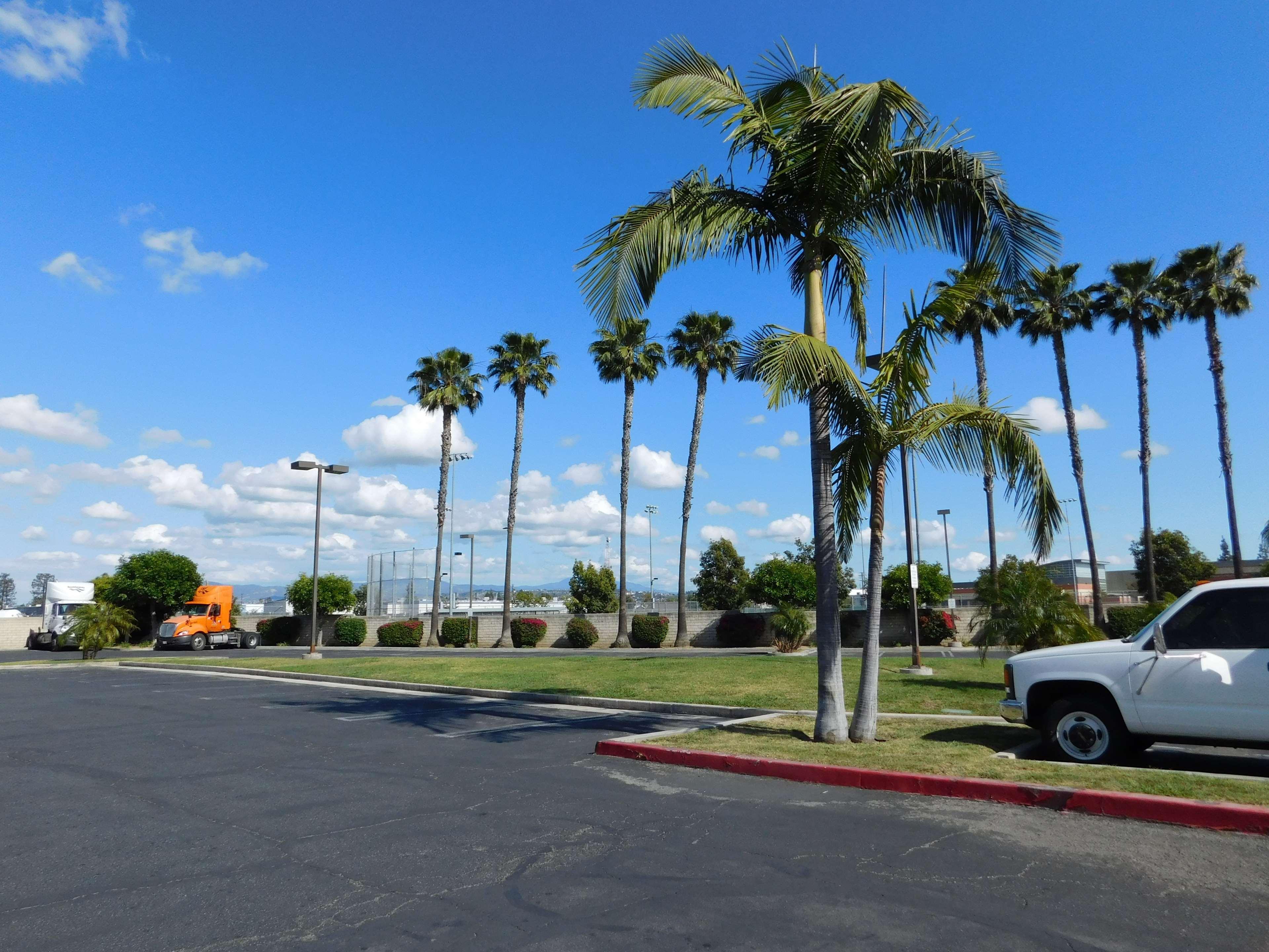 Best Western Plus - Anaheim Orange County Hotel Placentia Exterior foto