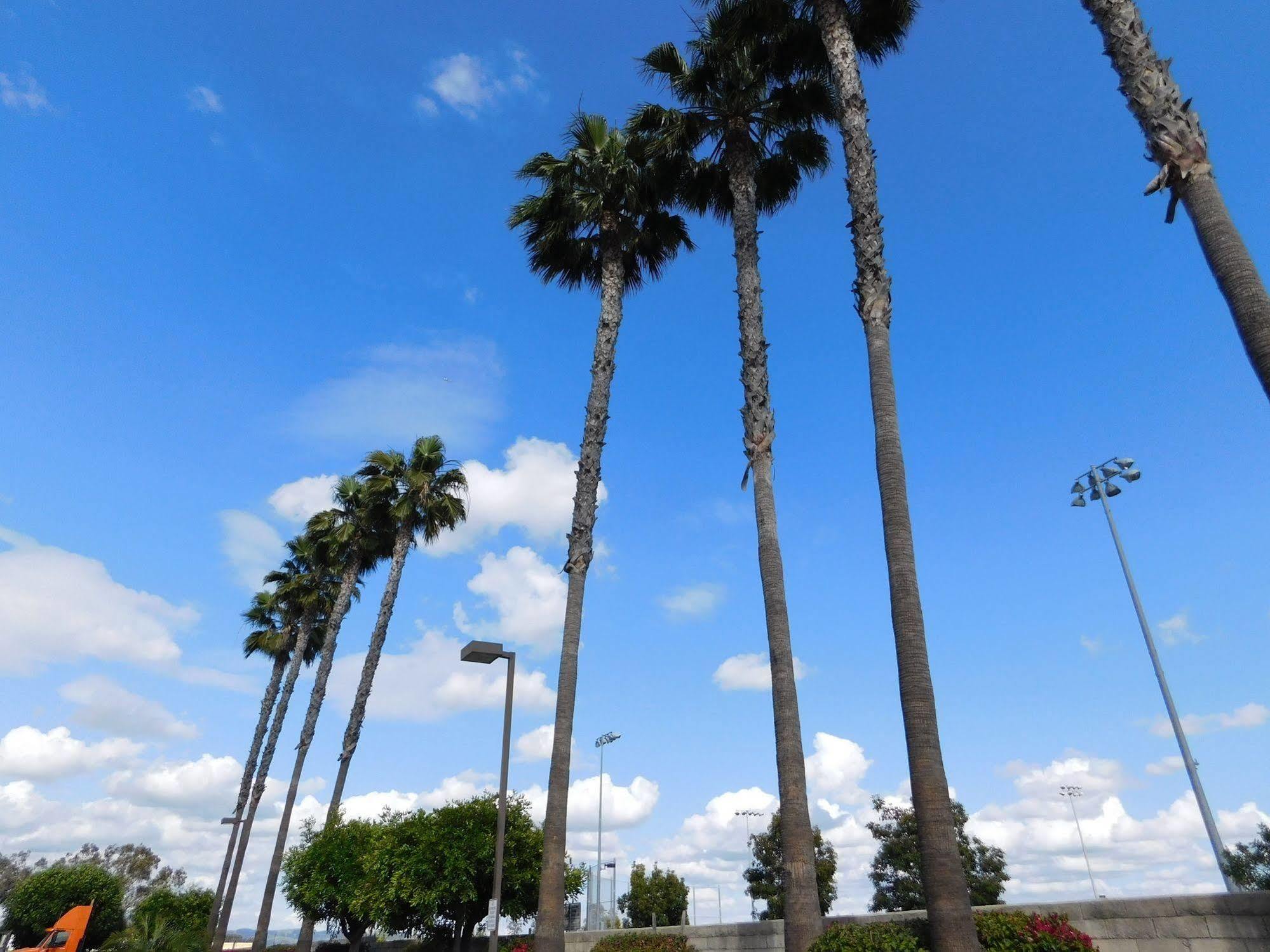 Best Western Plus - Anaheim Orange County Hotel Placentia Exterior foto